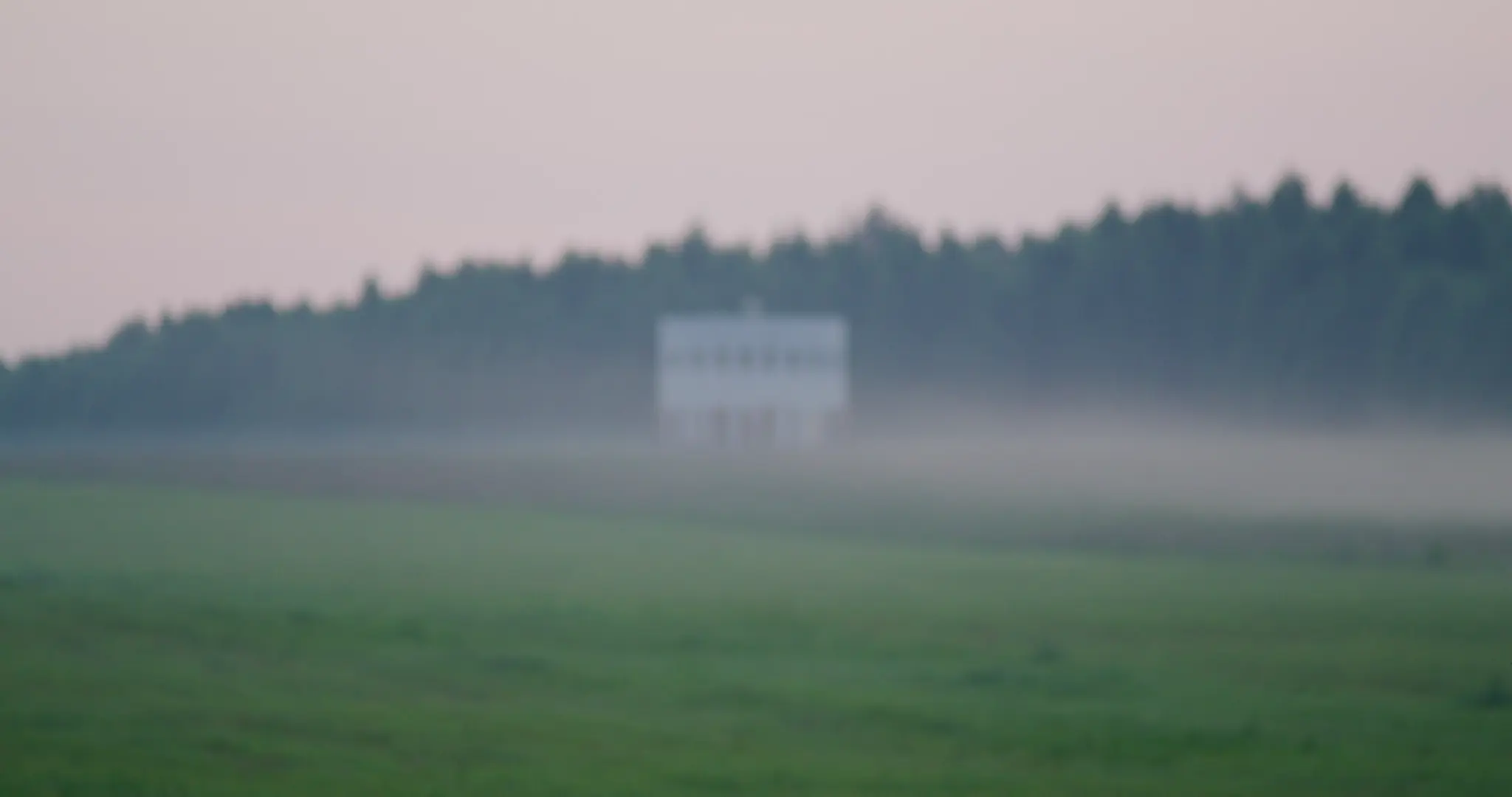 Signal25