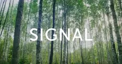 Signal 2024